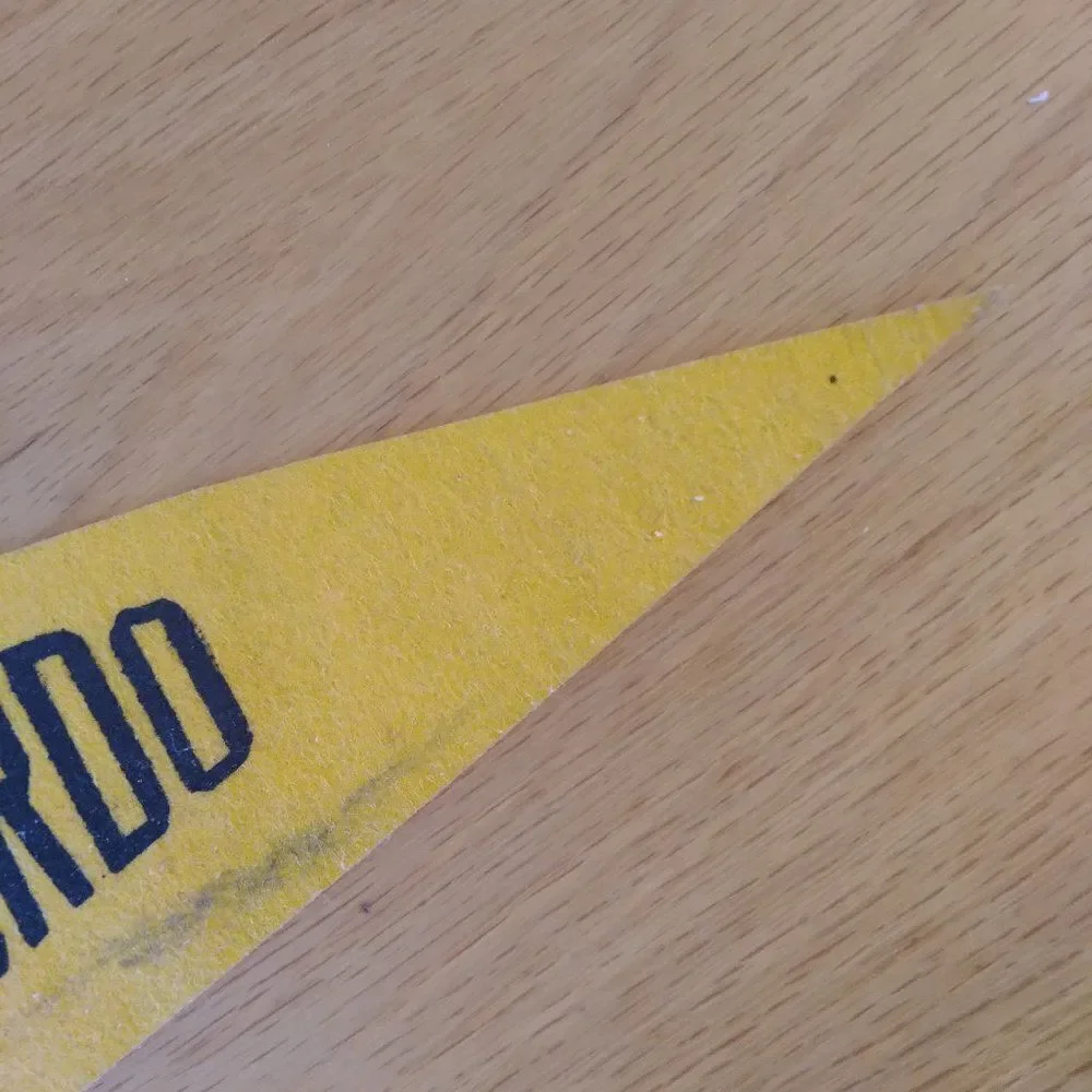 Vintage 60s Alamogordo New Mexico Tiger Pennant Flag